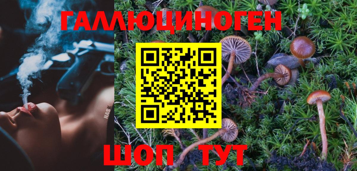 Галлюциногенные грибы ЛСД Псков