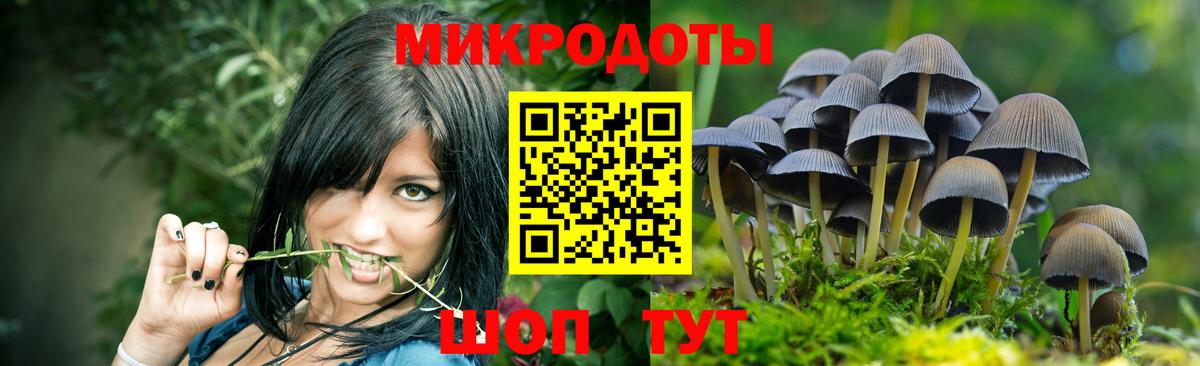 Псков  Галлюциногенные грибы Cubensis  Вход с VPN 